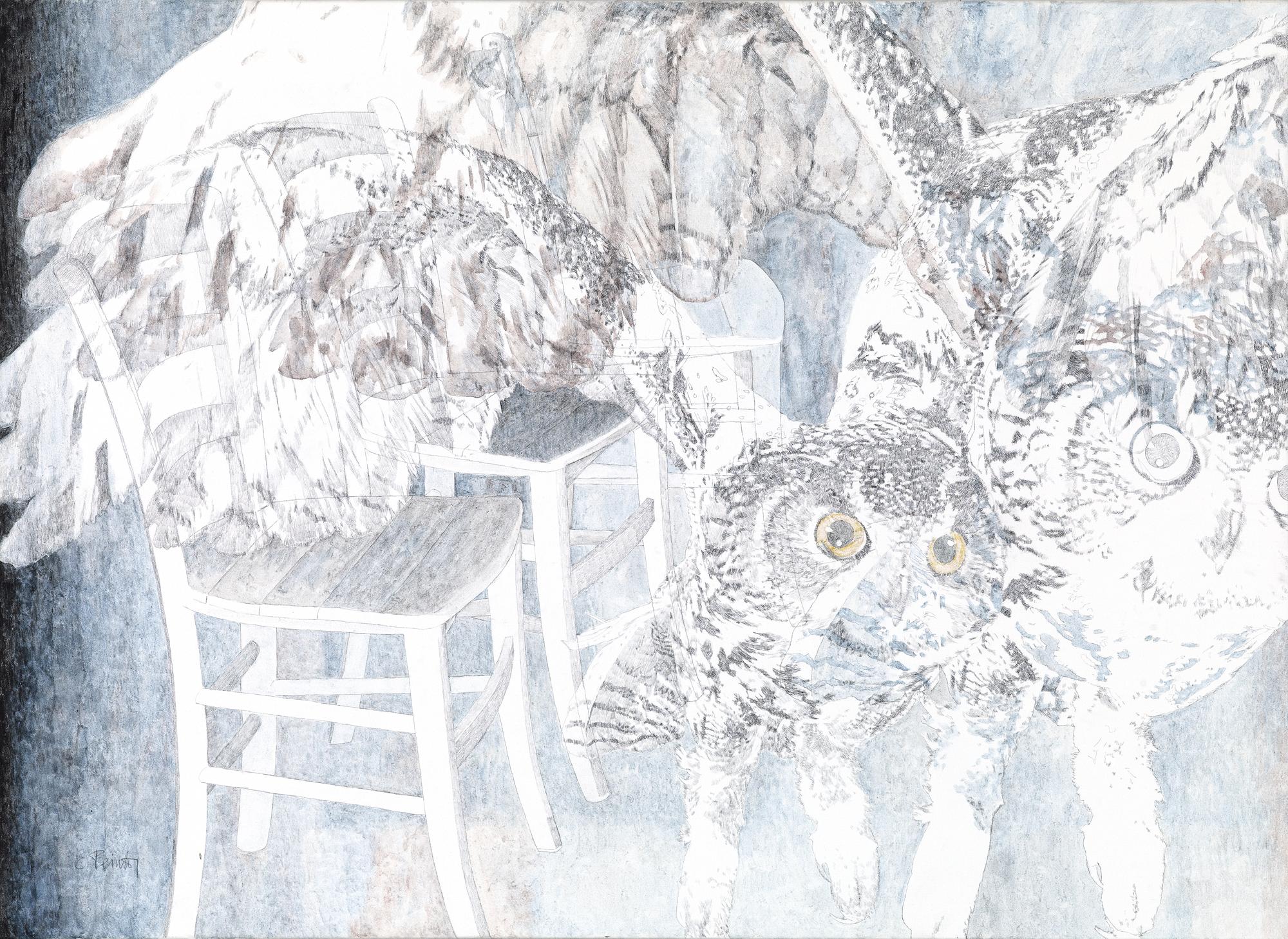 Elmar Peintner - EULENFLUG UND STÜHLE